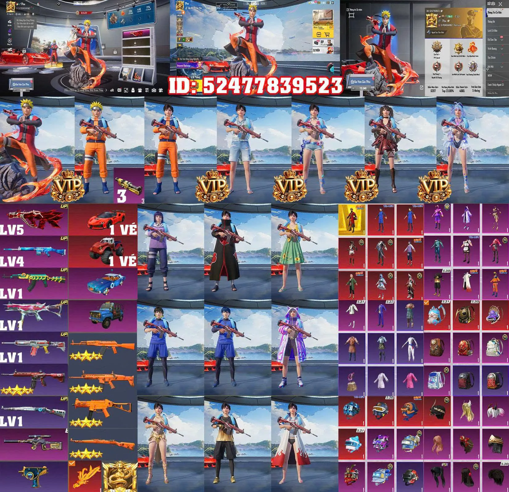Ảnh tài khoản mã 24381