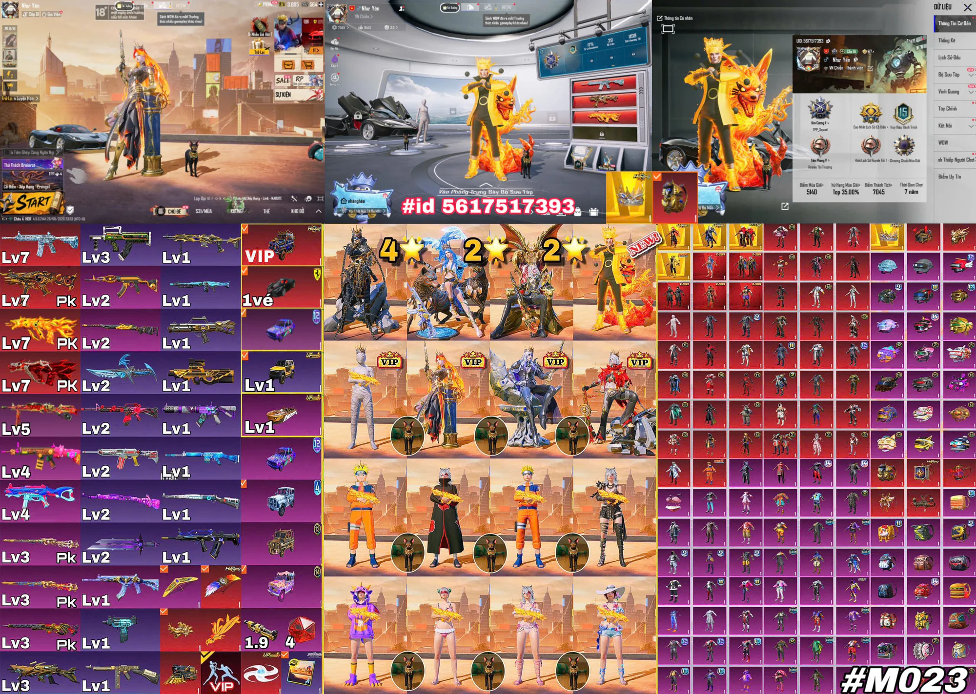 Ảnh tài khoản mã 24238